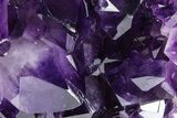 Free-Standing Amethyst Crystal Cluster - Uruguay #368286-1